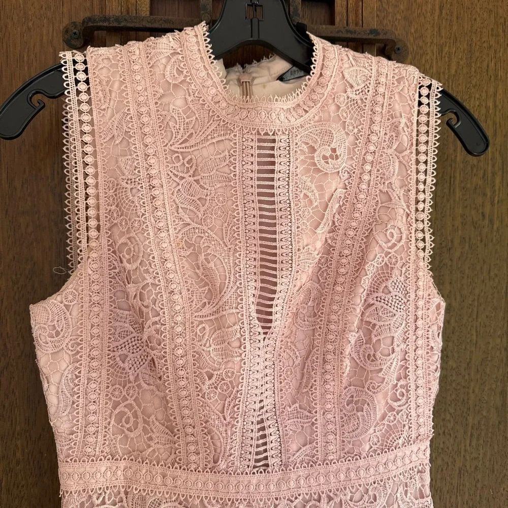 BCBGMaxAzria Blush Lace Maxi Dress Size 4